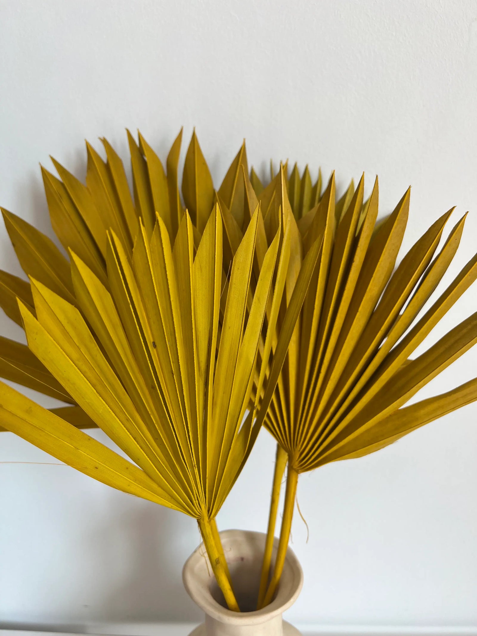 SLV* Palm Leaf Decor (Curbside & In-Store Only)