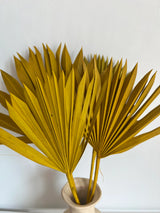 SLV* Palm Leaf Decor (Curbside & In-Store Only) - Sun - Palm Leaf - Decor Objects - Feliz Modern
