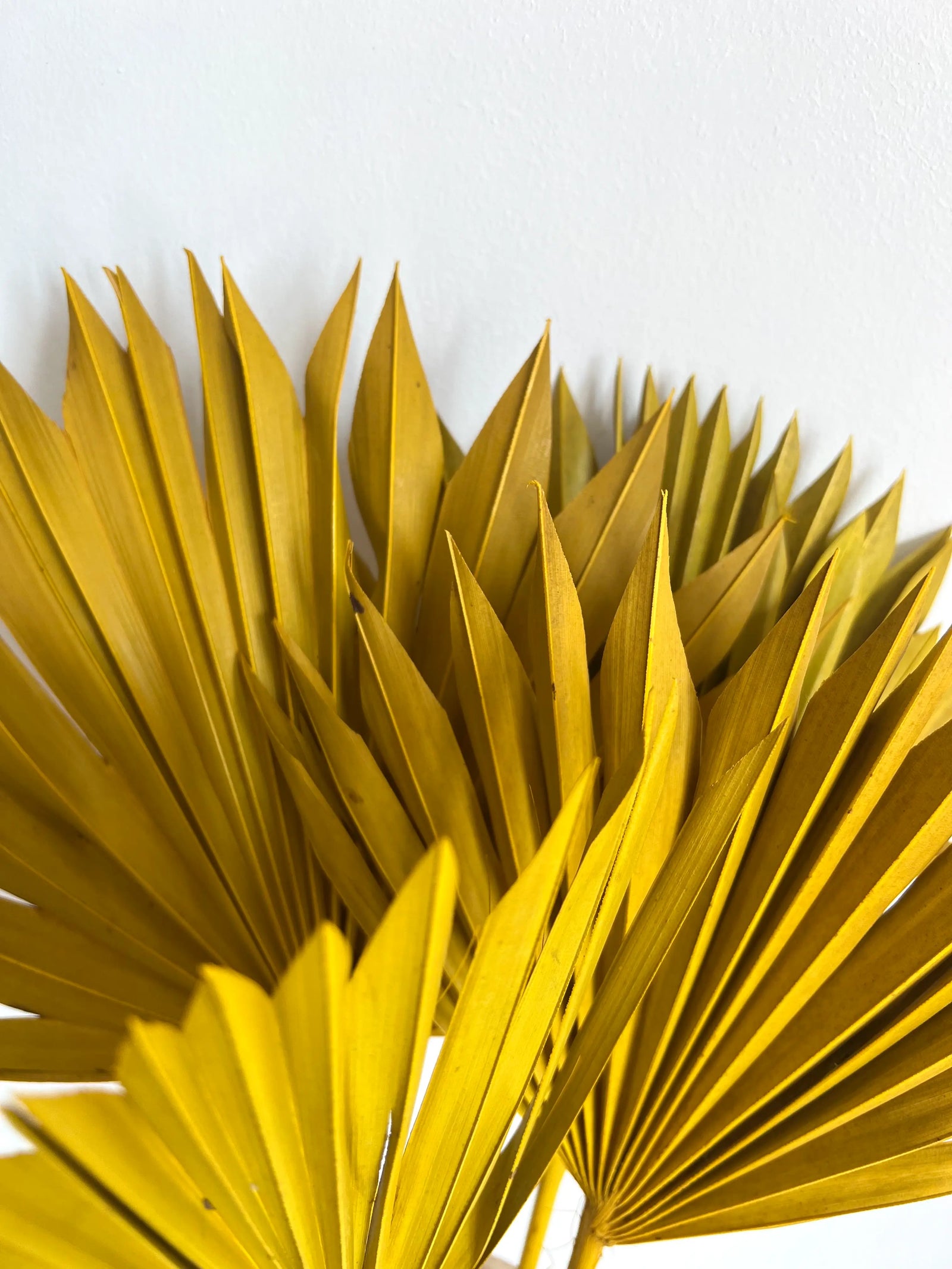 SLV* Palm Leaf Decor (Curbside & In-Store Only)